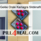 Gelée Orale Kamagra Sildénafil 14